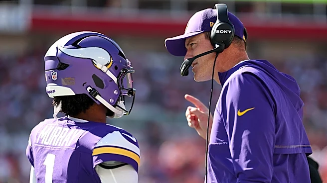 Assessing the Vikings Offense