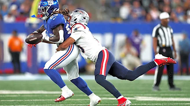 Cardinals bring in a bevy of linebackers for a tryout