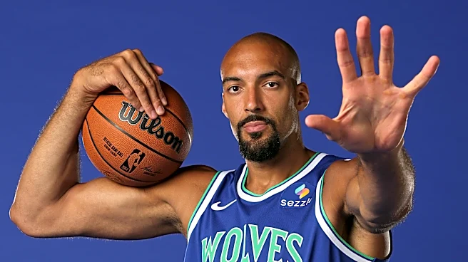 Timberwolves Player Previews: The Bigs
