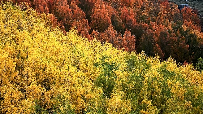 Open Thread, October 1, 2026: It’s Fall! Come on in and chat