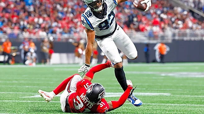 Panthers vs Lions: Storylines