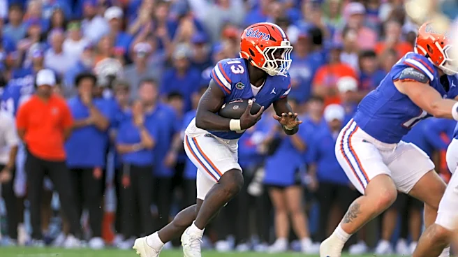Mizzou vs Florida Q&A with Andrew Spivey from Gator Country
