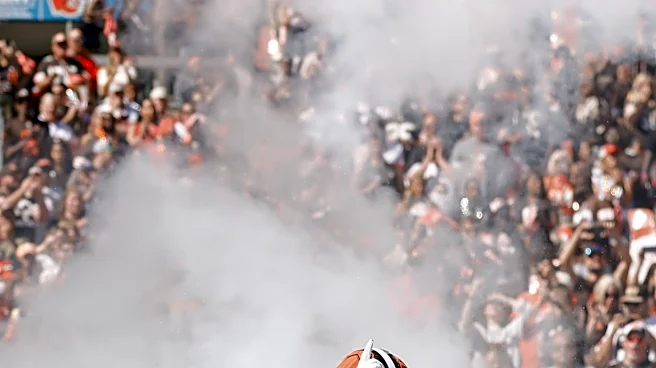 Browns DT Mason Graham injured on Steelers first drive on Thursday Night Football