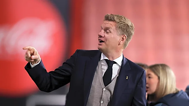 Tottenham Hotspur vs. the transfer market: Part 2