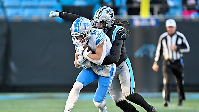 Panthers vs Lions: Matchups to watch