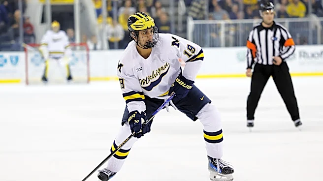 Michigan Hockey Preview: The No. 2 Wolverines open the season with Bowling Green