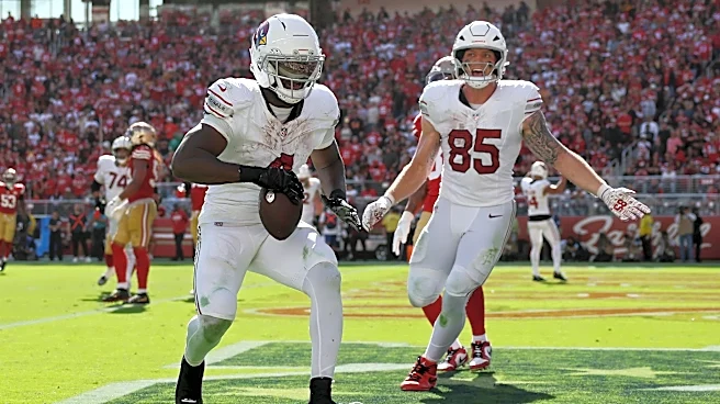 Arizona Cardinals news: Cardinals-Giants final score predictions