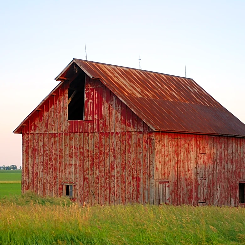 The Link Farm: 10.2.26