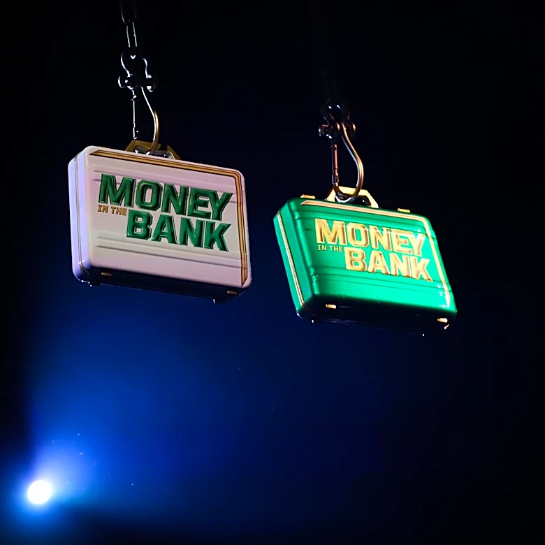 Who is winning the Money in the Bank ladder matches?