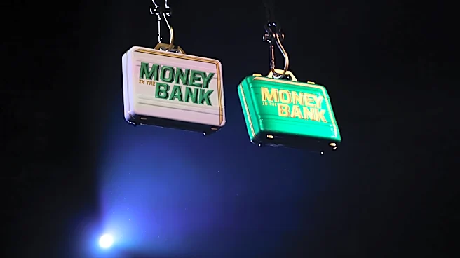 Who is winning the Money in the Bank ladder matches?