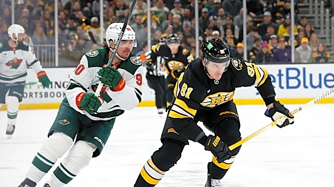 Public Skate: Bruins vs. Wild