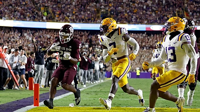 LSU Tigers vs. McNeese State Cowboys: Week 5 Open Thread
