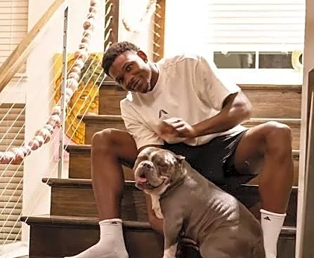The Official Doggelgangers of the 2026-27 Minnesota Timberwolves