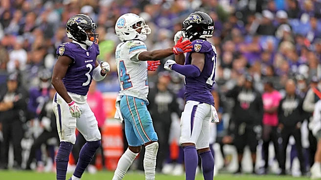 Carnell Tate has huge day in 24-18 Titans loss to Ravens