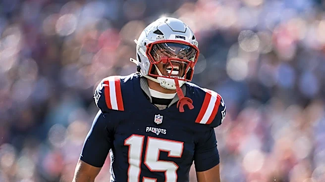 Steelers sign former Patriots linebacker