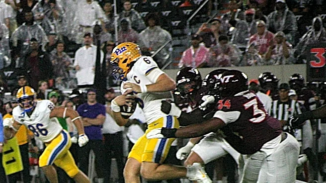 Virginia Tech Hokies vs. Pittsburgh Panthers: What Worked, What Didn’t, and Dun Busted