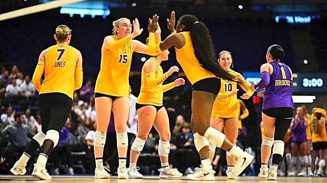 LSU volleyball splits SEC Week 2 homestand