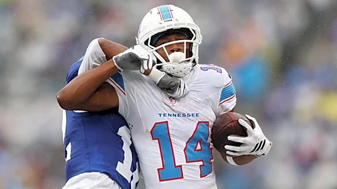 Tennessee Titans news: Carnell Tate in hot water after game vs. Ravens