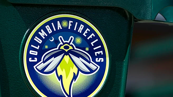 This Week in the Minors: Columbia Fireflies season in review