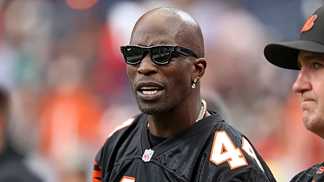 Bengals News: Chad Johnson believes in the backup wide receivers