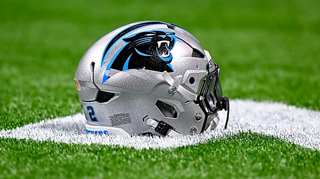 Panthers bye week injury update: The answer is on the (injured reserve) roster