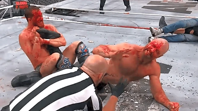 Who do you want to see in AEW Blood & Guts 2026?