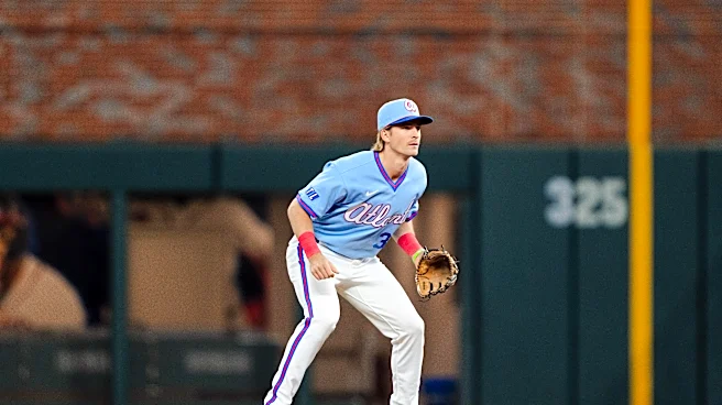 Braves designate Luke Williams for assignment, select Danny Young