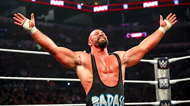 Betting odds have these two winning Money in the Bank ladder matches