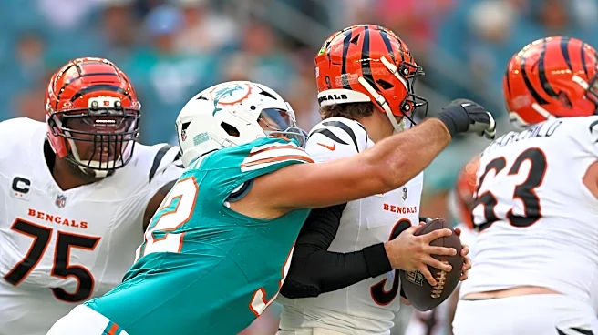 Miami Dolphins Fans: Dolphins Vs Cincinnati Bengals Predictions