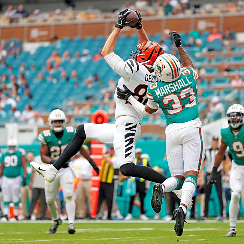 Bengals vs. Dolphins: How to watch, game time, TV info, and online stream