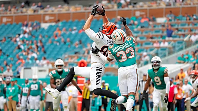 Bengals vs. Dolphins: How to watch, game time, TV info, and online stream