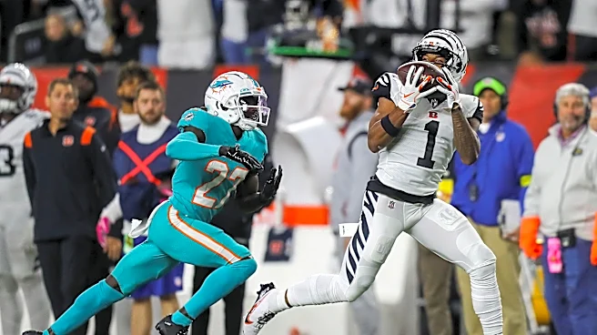 Bengals Ja’Marr Chase, Tee Higgins and Bryan Cook all active against Dolphins