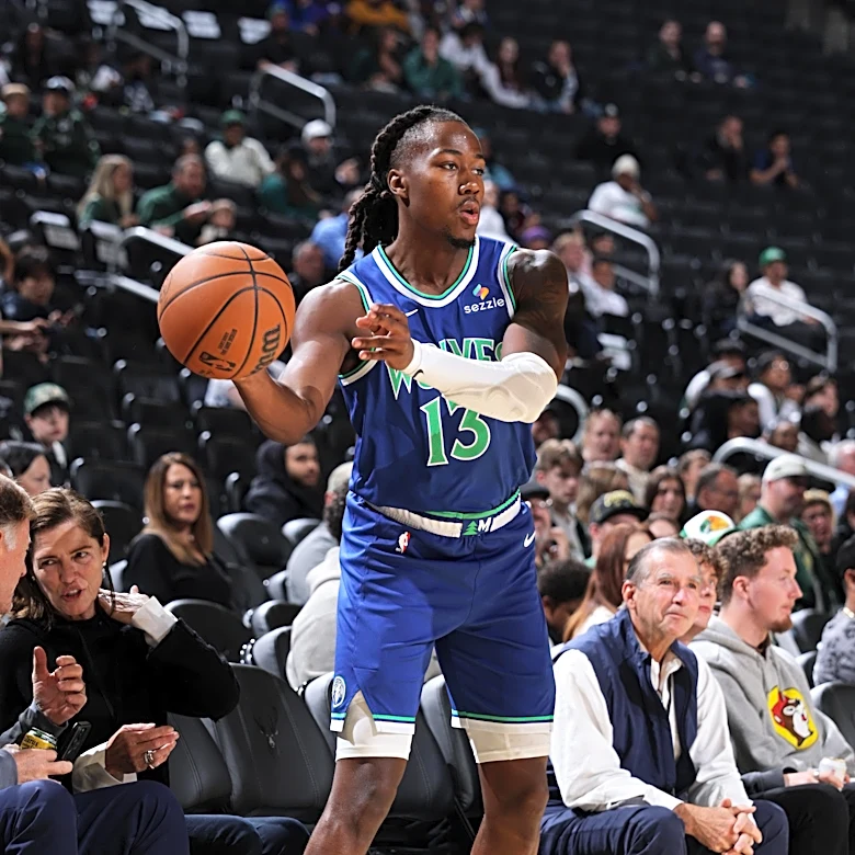 Minnesota Timberwolves Bench: Report Card Preview