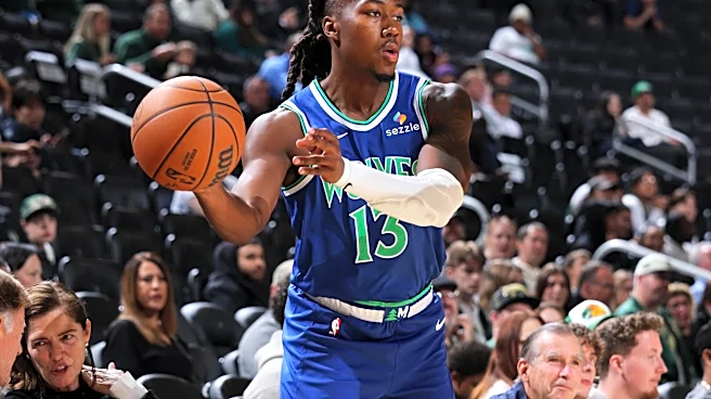 Minnesota Timberwolves Bench: Report Card Preview