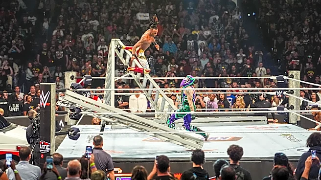 The WWE men’s Money in the Bank ladder match popped these AEW stars