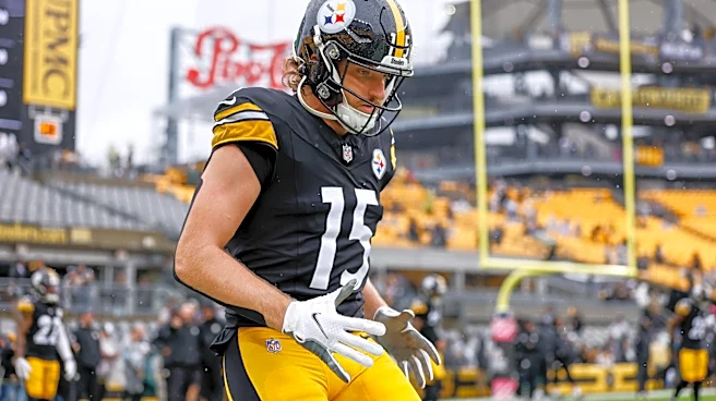 Steelers will be without Roman Wilson, Ben Skowronek vs. Buccaneers