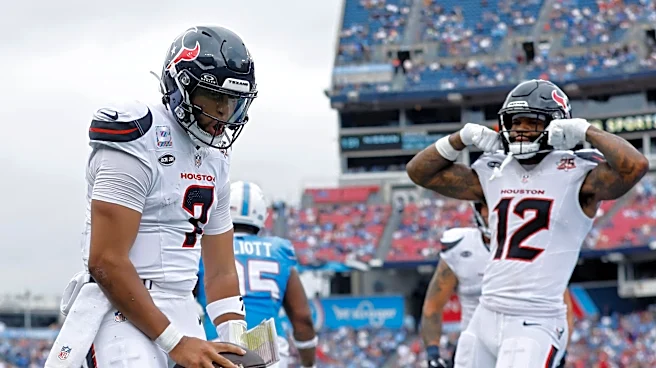 The Day After the Day After: Houston Texans bludgeon the Tennessee Titans 26-3