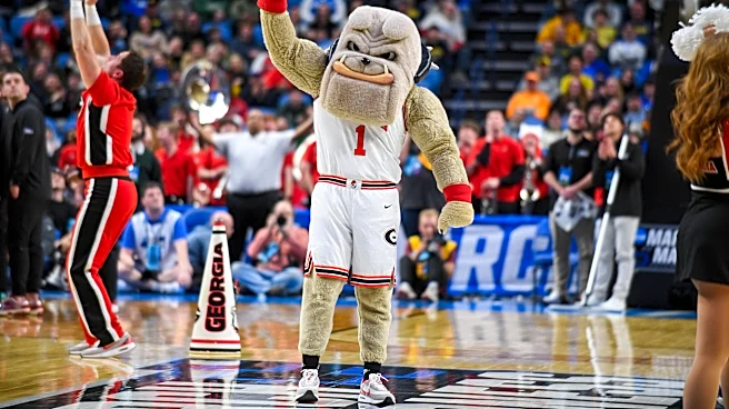 Mike White and Georgia hope to keep things rolling