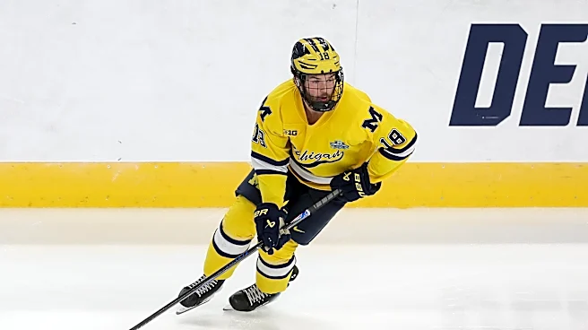Michigan Hockey: Wolverines sweep Alaska Anchorage to improve to 4-0-0
