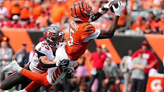 8 winners and 7 losers through the Bengals’ first 5 games of the 2026 NFL season