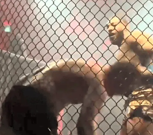 Video: Callum Bisping, son of Michael Bisping, knocked out in amateur MMA bout