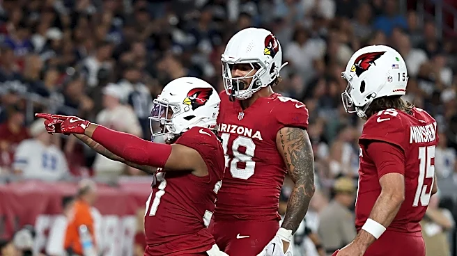 Arizona Cardinals sign tight end, open practice window for safety on injured reserve