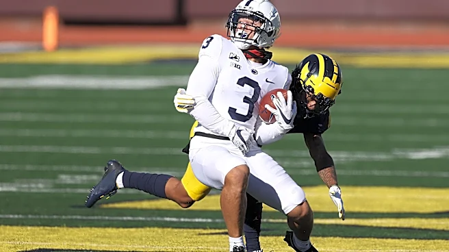 Lion Tales: Michigan 2020