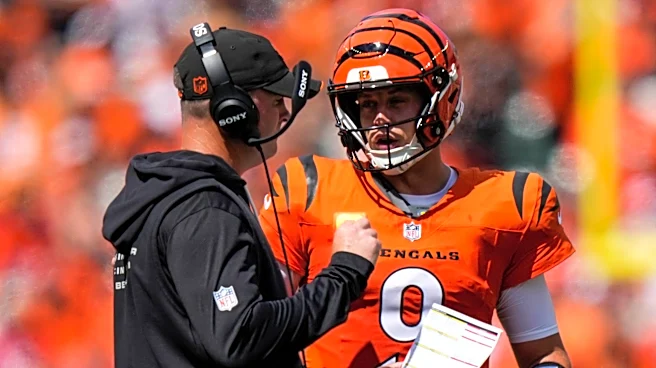 How would you grade the 2026 Bengals through the first 5 games?