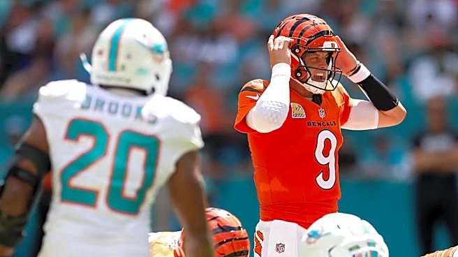 AFC North Standings: Ravens on top entering Week 6