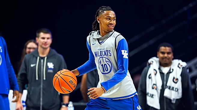 Kentucky Wildcats News: Mark Pope expects greatness from Alex Wilkins, at least glimpses of it