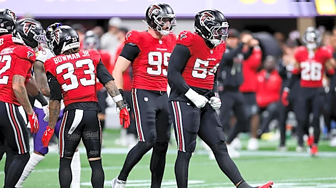 The Falcoholic Reacts Survey: Pressing issues