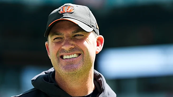 Bengals News: Cincinnati has good odds to make NFL Playoffs