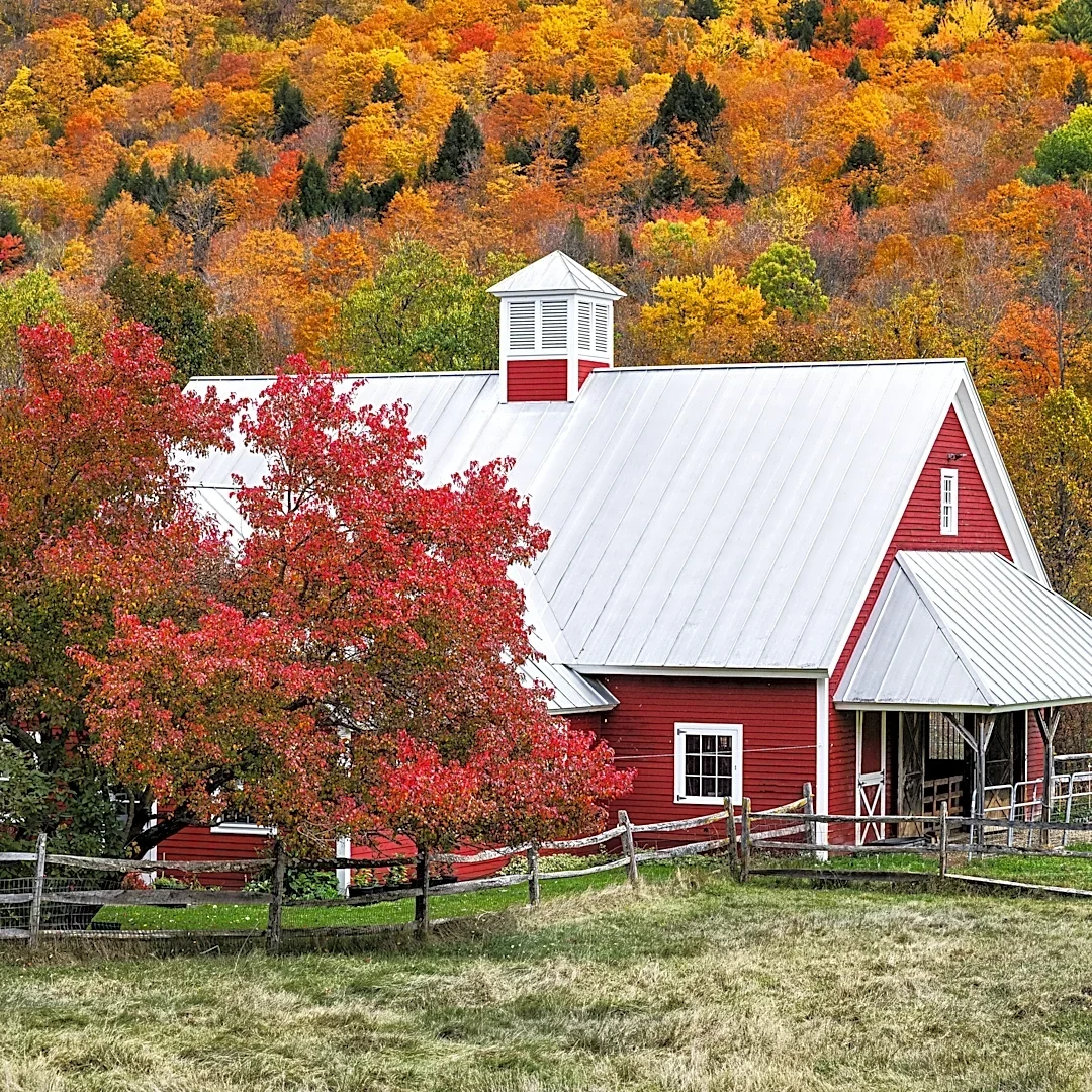 The Link Farm: 10.16.26