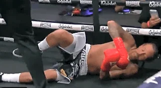 Video: Michael Beasley knocks out Delonte West at Brand Risk 16